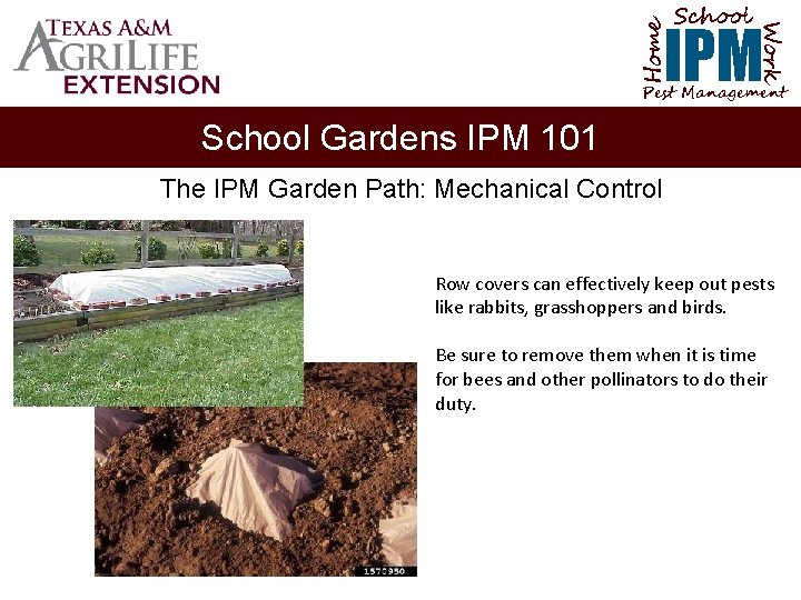 School Home Work IPM Pest Management School Gardens IPM 101 The IPM Garden Path: