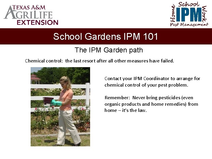 School Home Work IPM Pest Management School Gardens IPM 101 The IPM Garden path
