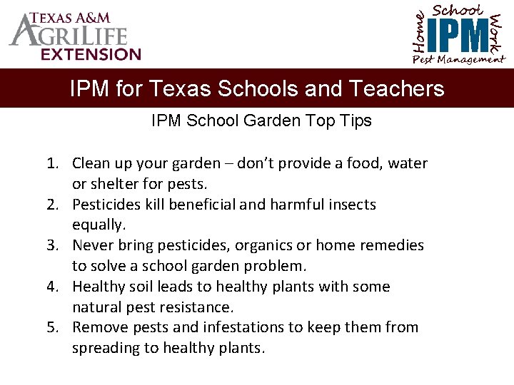 School Home Work IPM Pest Management IPM for Texas Schools and Teachers IPM School