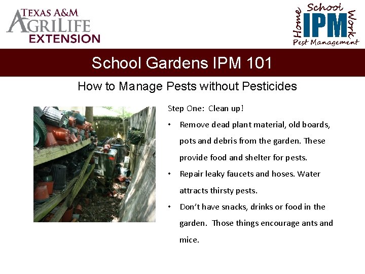 School Home Work IPM Pest Management School Gardens IPM 101 How to Manage Pests