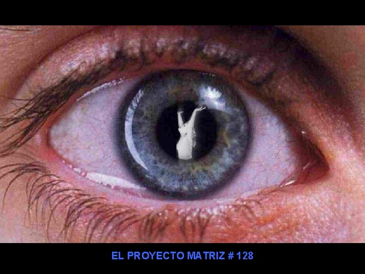 EL PROYECTO MATRIZ # 128 