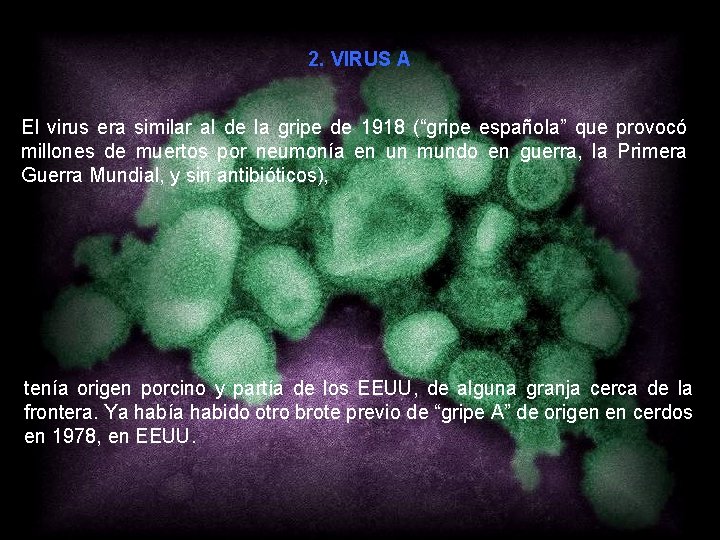 2. VIRUS A El virus era similar al de la gripe de 1918 (“gripe