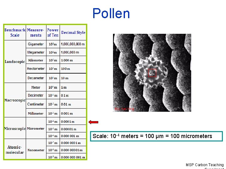 Pollen Scale: 10 -4 meters = 100 µm = 100 micrometers MSP Carbon Teaching