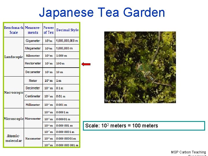 Japanese Tea Garden Scale: 102 meters = 100 meters MSP Carbon Teaching 