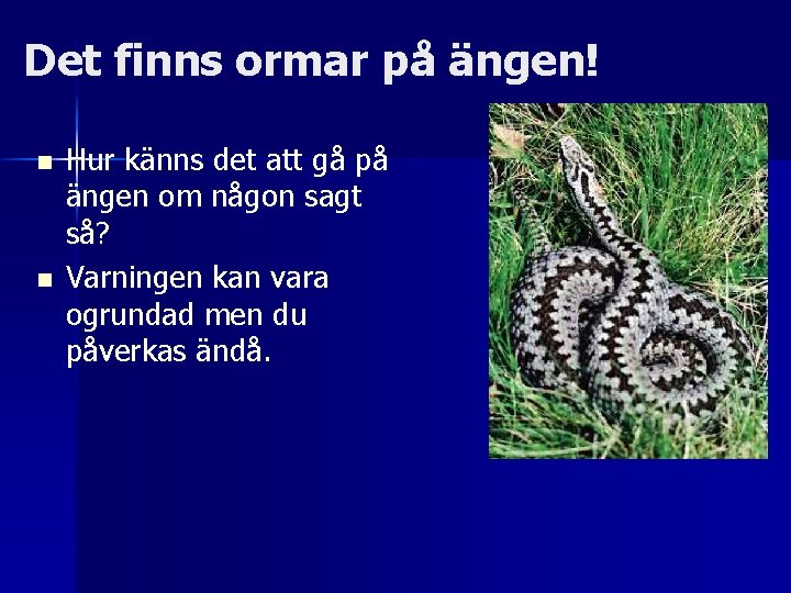 Det finns ormar på ängen! n n Hur känns det att gå på ängen