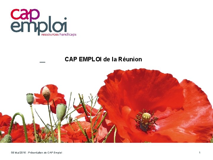 CAP EMPLOI de la Réunion 05 Mai 2015 : Présentation de CAP Emploi 1