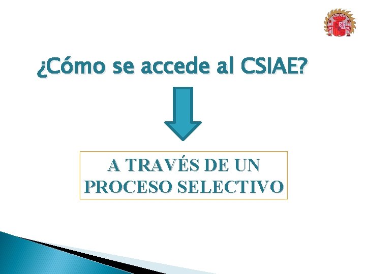 ¿Cómo se accede al CSIAE? A TRAVÉS DE UN PROCESO SELECTIVO 1 0 