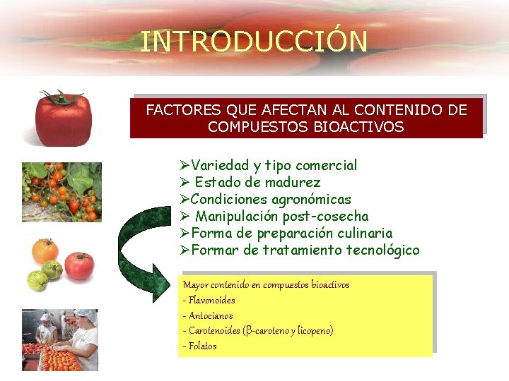 INTRODUCCIÓN FACTORES QUE AFECTAN AL CONTENIDO DE COMPUESTOS BIOACTIVOS ØVariedad y tipo comercial Ø