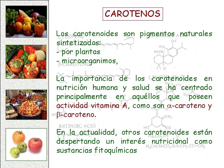 CAROTENOS Los carotenoides son pigmentos naturales sintetizados: - por plantas - microorganimos, La importancia