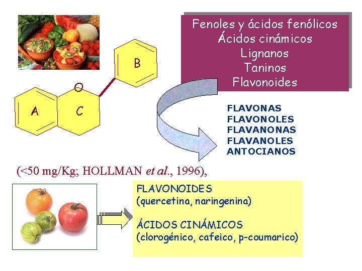 B O A Fenoles y ácidos fenólicos Ácidos cinámicos Lignanos Taninos Flavonoides FLAVONAS FLAVONOLES