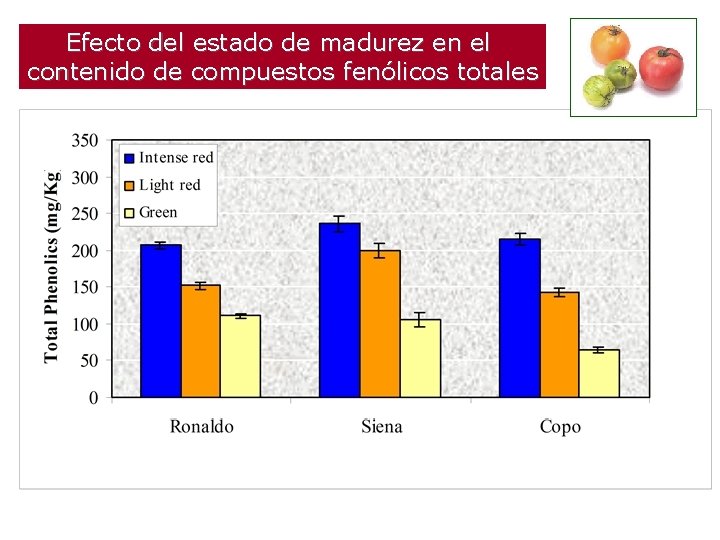 Efecto del estado de madurez en el contenido de compuestos fenólicos totales 