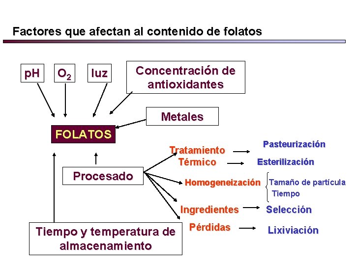 Factores que afectan al contenido de folatos p. H O 2 luz Concentración de