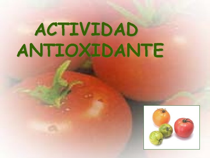 ACTIVIDAD ANTIOXIDANTE 