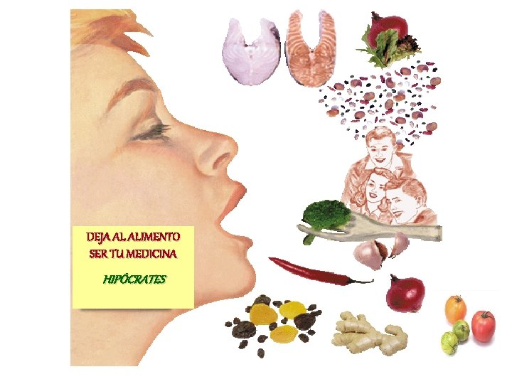 DEJA AL ALIMENTO SER TU MEDICINA HIPÓCRATES 