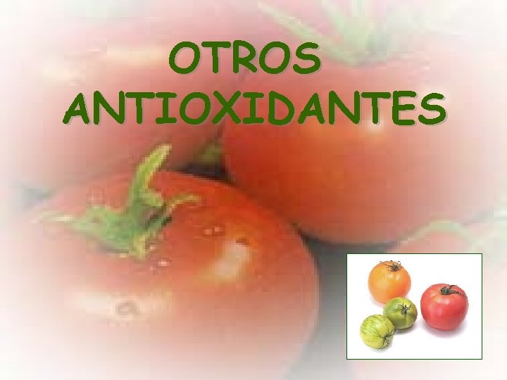 OTROS ANTIOXIDANTES 