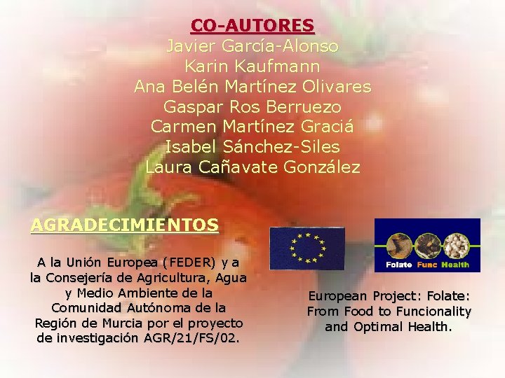 CO-AUTORES Javier García-Alonso Karin Kaufmann Ana Belén Martínez Olivares Gaspar Ros Berruezo Carmen Martínez