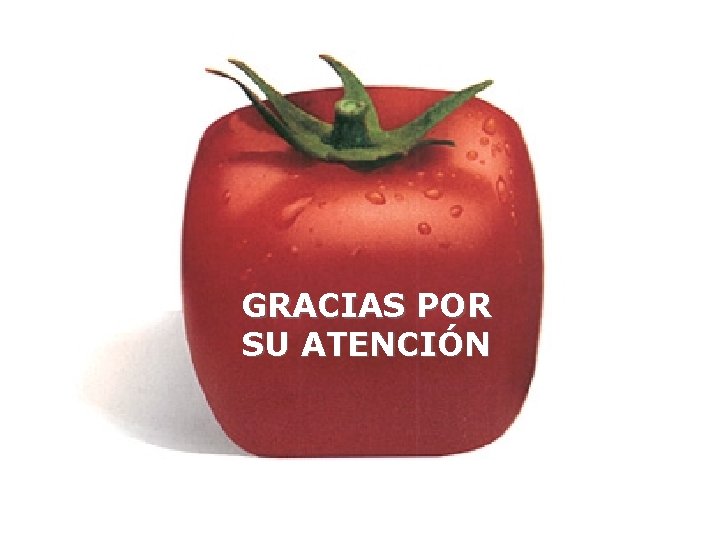 GRACIAS POR SU ATENCIÓN 