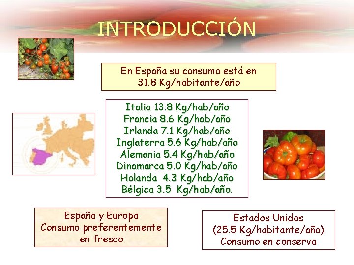 INTRODUCCIÓN En España su consumo está en 31. 8 Kg/habitante/año Italia 13. 8 Kg/hab/año