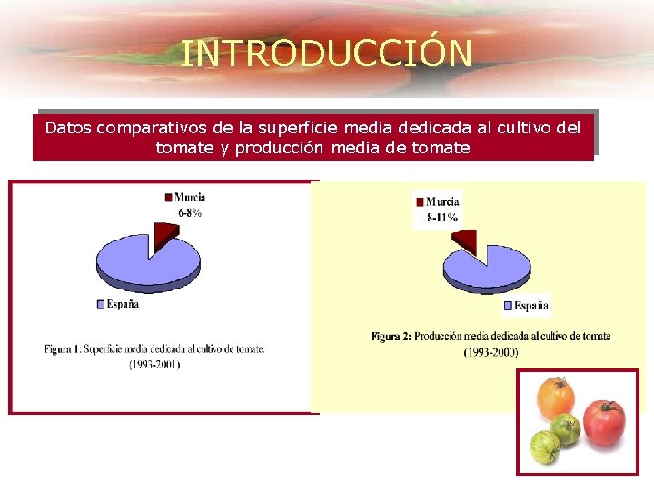 INTRODUCCIÓN Datos comparativos de la superficie media dedicada al cultivo del tomate y producción