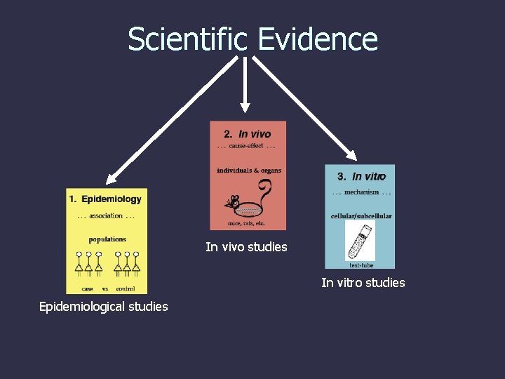 Scientific Evidence In vivo studies In vitro studies Epidemiological studies 