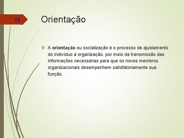 13 Orientação A orientação ou socialização é o processo de ajustamento do indivíduo à