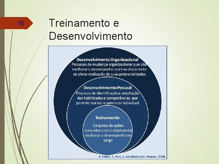 15 Treinamento e Desenvolvimento 