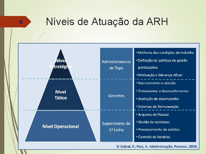 6 Níveis de Atuação da ARH 