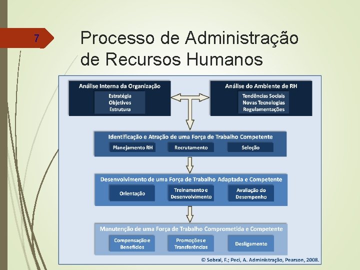 7 Processo de Administração de Recursos Humanos 