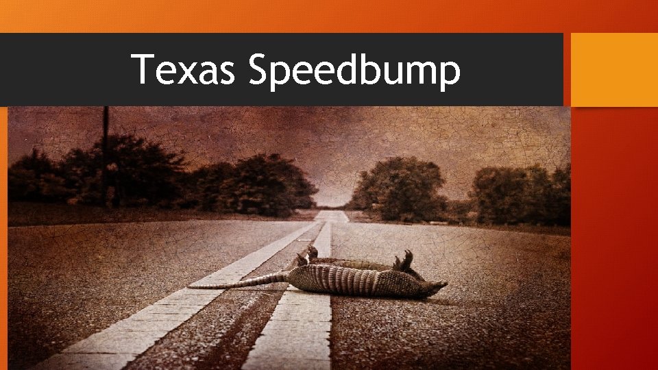 Texas Speedbump 