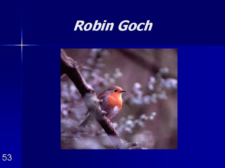 Robin Goch 53 