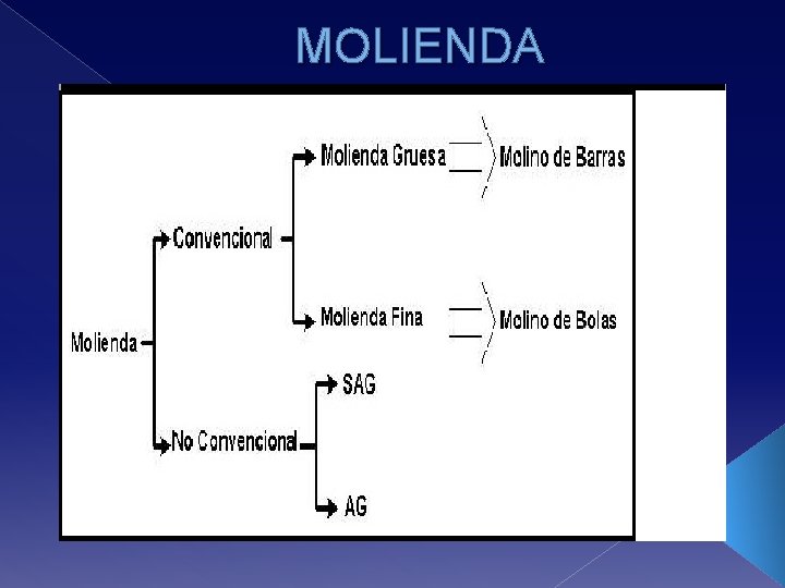 MOLIENDA 