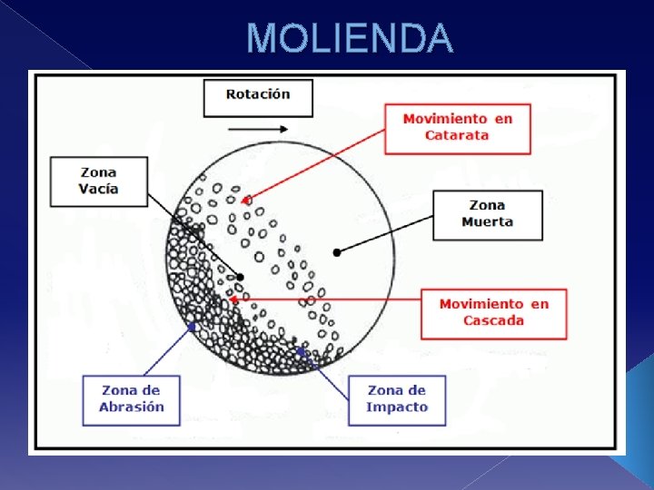 MOLIENDA. 