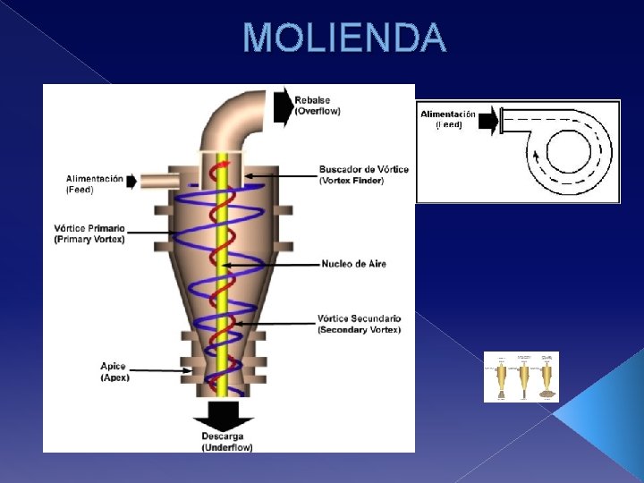 MOLIENDA 