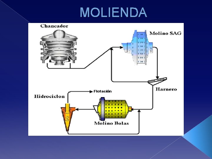 MOLIENDA 