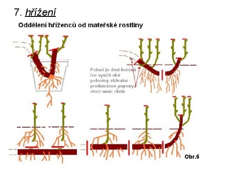 7. hřížení Obr. 6 