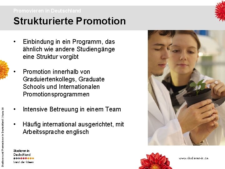 Promovieren in Deutschland Studieren und Promovieren in Deutschland | Seite 30 Strukturierte Promotion •