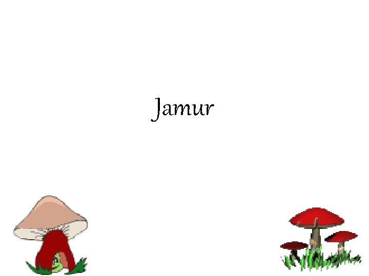 Jamur 