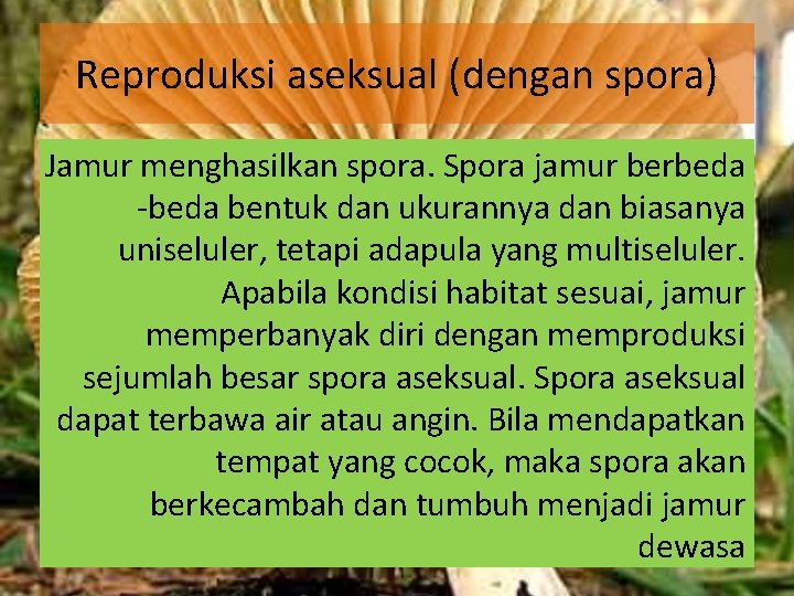 Reproduksi aseksual (dengan spora) Jamur menghasilkan spora. Spora jamur berbeda -beda bentuk dan ukurannya