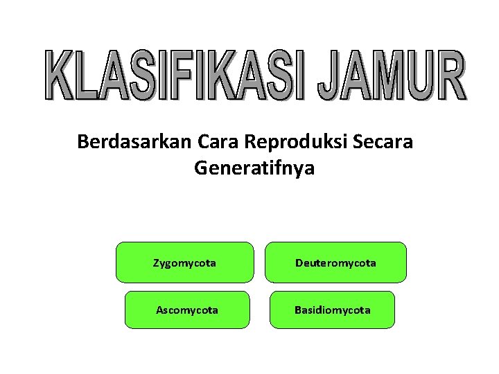 Berdasarkan Cara Reproduksi Secara Generatifnya Zygomycota Deuteromycota Ascomycota Basidiomycota 