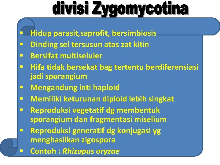 § § § § § Hidup parasit, saprofit, bersimbiosis Dinding sel tersusun atas zat