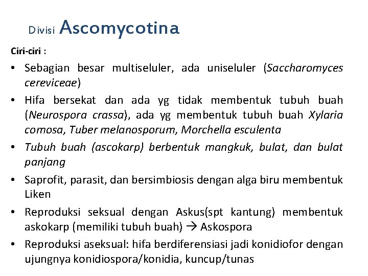 Divisi Ascomycotina Ciri-ciri : • Sebagian besar multiseluler, ada uniseluler (Saccharomyces cereviceae) • Hifa Divisi Ascomycotina Ciri-ciri : • Sebagian besar multiseluler, ada uniseluler (Saccharomyces cereviceae) • Hifa