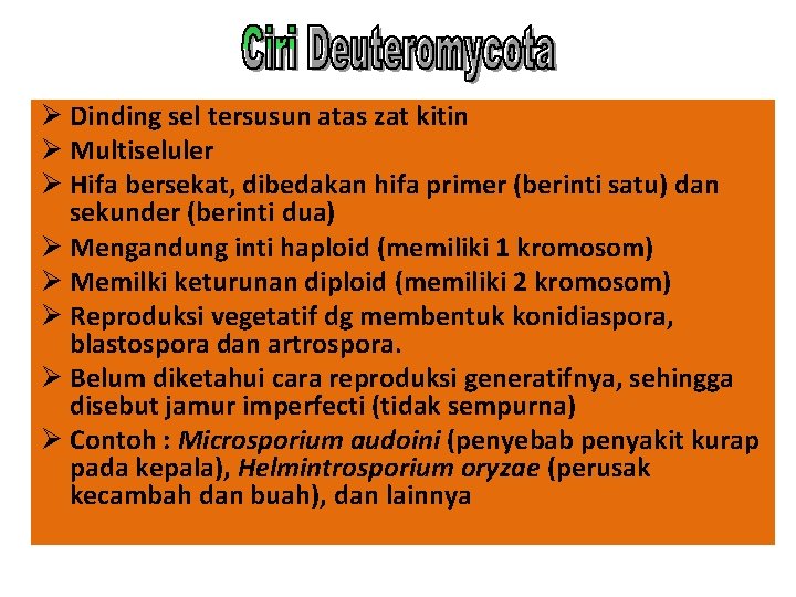 Ø Dinding sel tersusun atas zat kitin Ø Multiseluler Ø Hifa bersekat, dibedakan hifa Ø Dinding sel tersusun atas zat kitin Ø Multiseluler Ø Hifa bersekat, dibedakan hifa