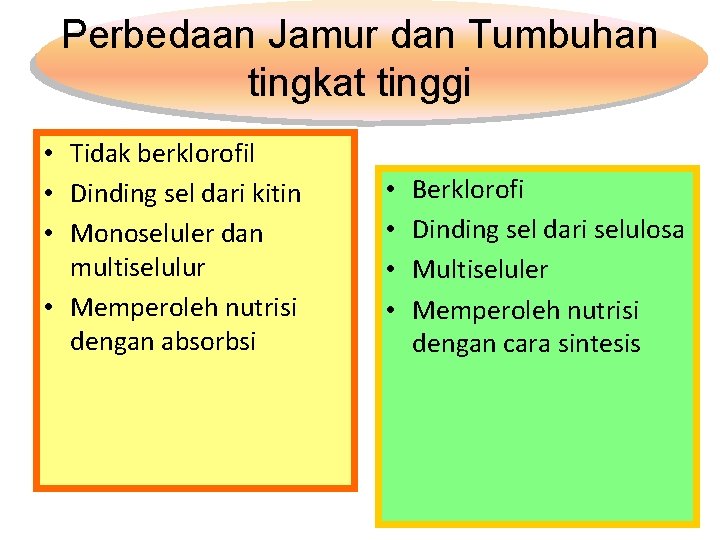 Perbedaan Jamur dan Tumbuhan tingkat tinggi • Tidak berklorofil • Dinding sel dari kitin