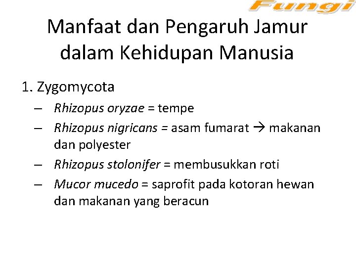 Manfaat dan Pengaruh Jamur dalam Kehidupan Manusia 1. Zygomycota – Rhizopus oryzae = tempe