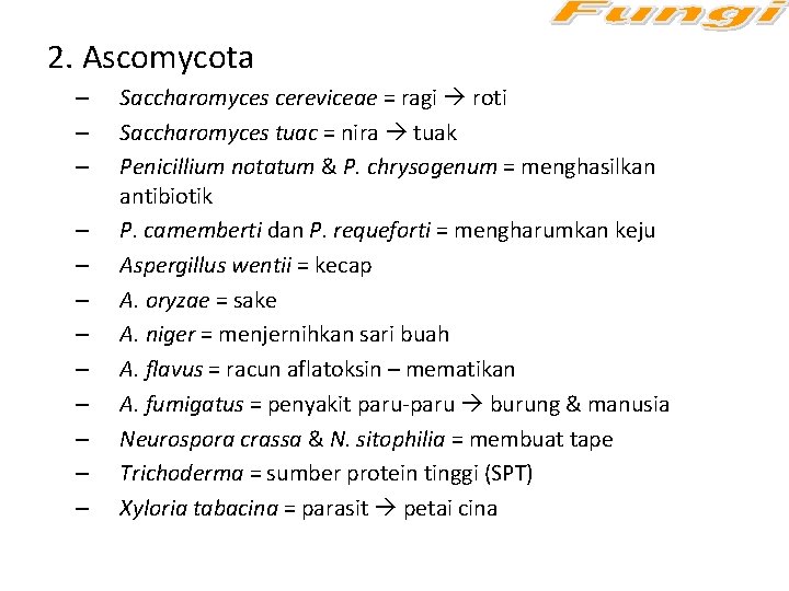 2. Ascomycota – – – Saccharomyces cereviceae = ragi roti Saccharomyces tuac = nira