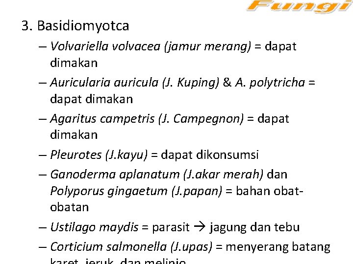 3. Basidiomyotca – Volvariella volvacea (jamur merang) = dapat dimakan – Auricularia auricula (J.