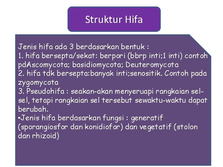 Struktur Hifa Jenis hifa ada 3 berdasarkan bentuk : 1. hifa bersepta/sekat: berpori (bbrp