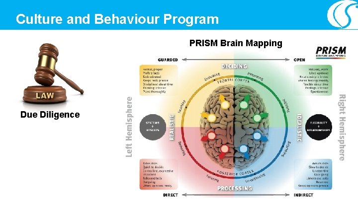 Culture and Behaviour Program PRISM Brain Mapping Due Diligence 
