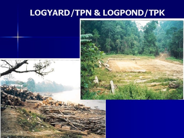 LOGYARD/TPN & LOGPOND/TPK 