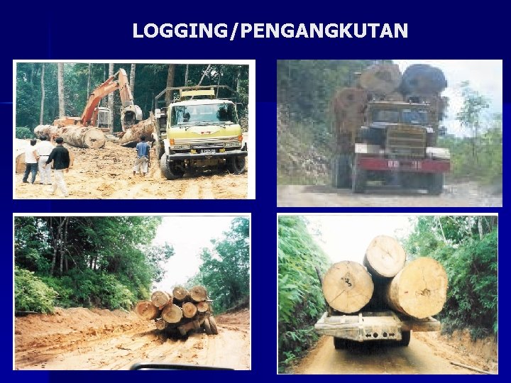 LOGGING/PENGANGKUTAN 